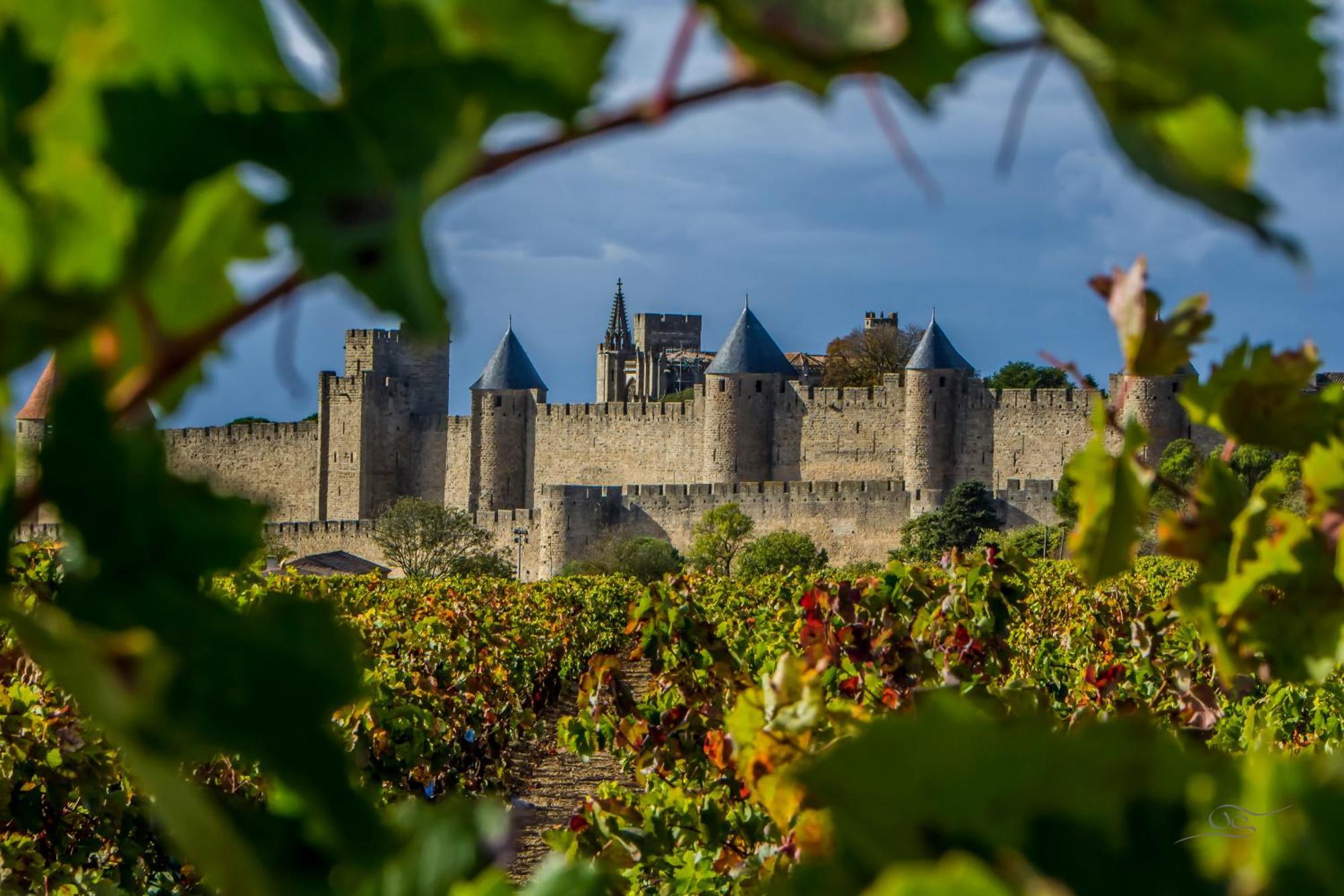 Maison Cantalauze - Pays Cathare - Carcassonne - Canal Du Midi Trebes Bagian luar foto